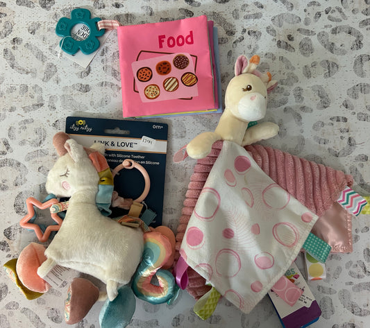 Food crinkle book, unicorn link & love toy, Giraffe taggie- Payton Layne Gilliam