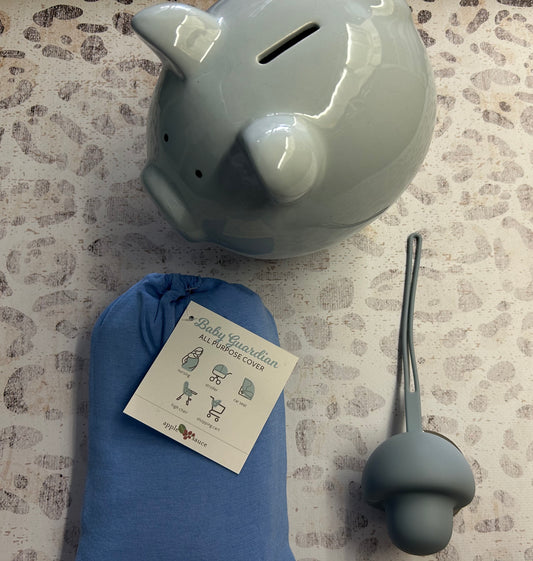 Piggy Bank, Baby Guardian Cover, Paci holder- Baby Boy Vice