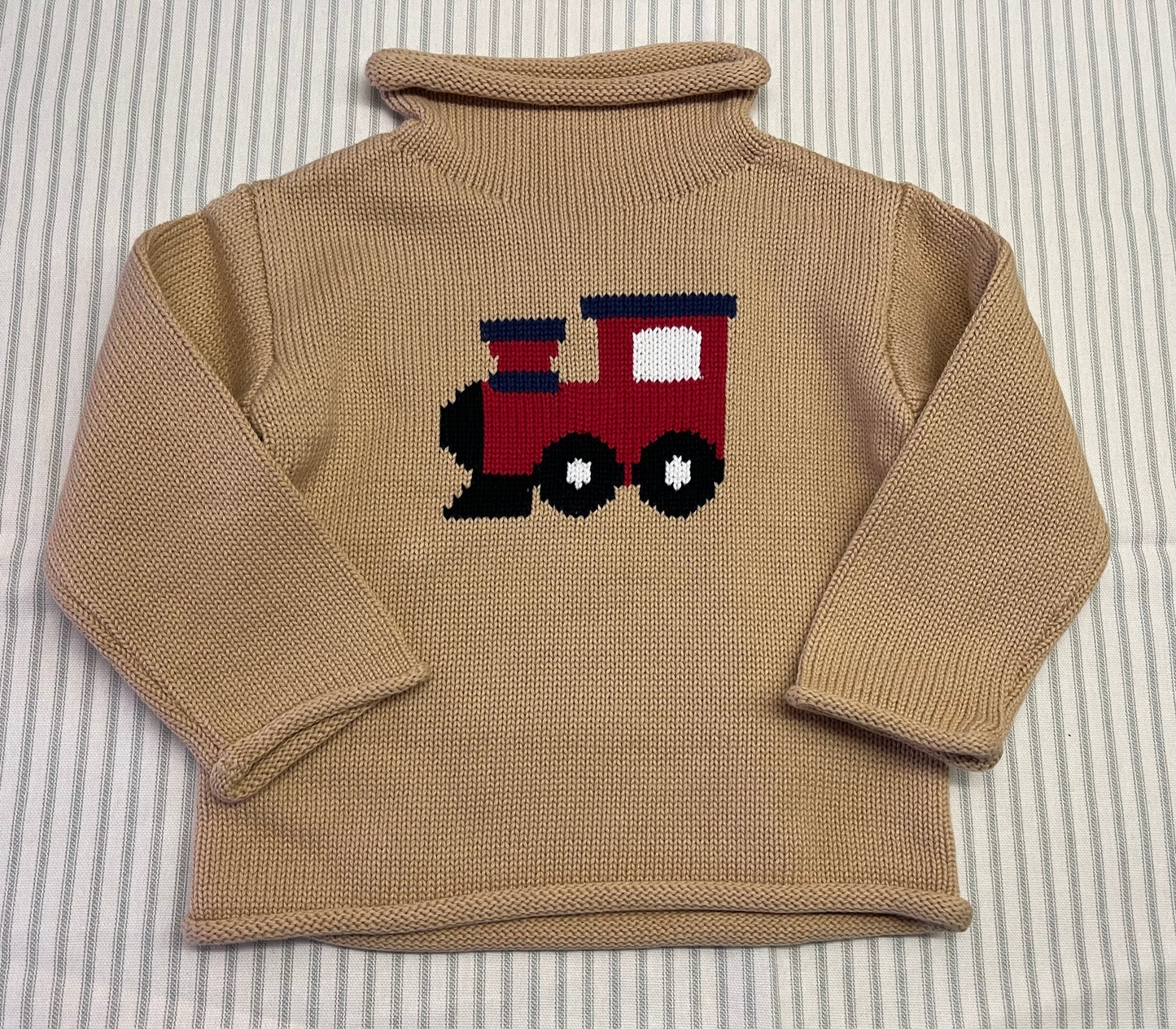 Mudpie Train Rollneck Sweater