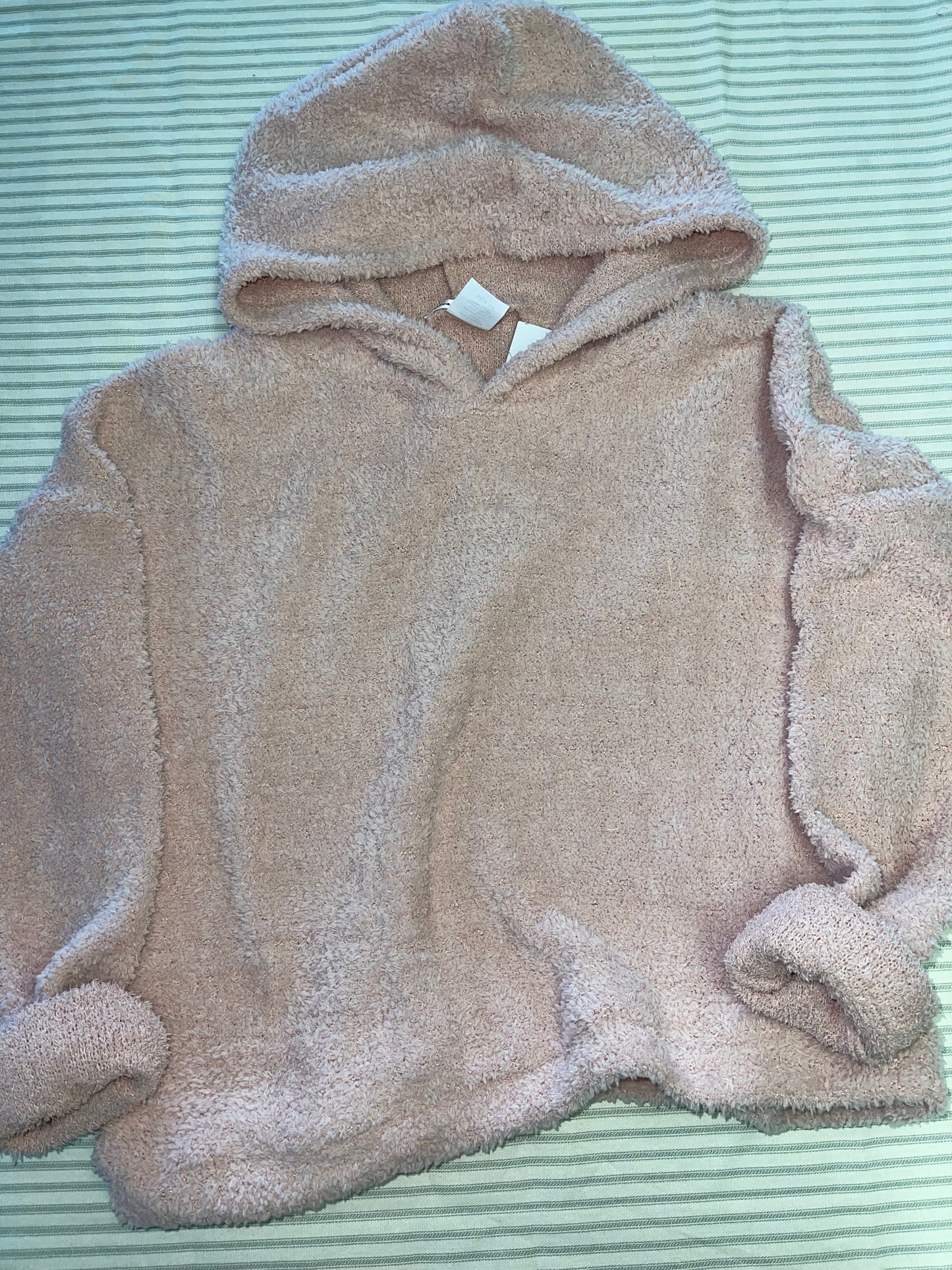 Area Code 407 Blush Cozy Hoodie